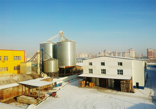 Usine de traitement d’huile de soja de ricin à presse à chaud