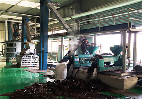 machine d’extraction d’huile de coton de grande taille de 30 tonnes par jour au Togo