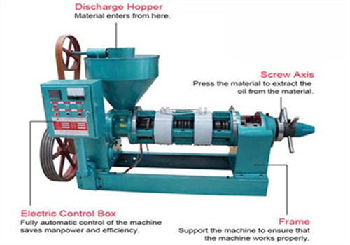 machine d’extraction d’huile de tournesol de petite taille au Congo